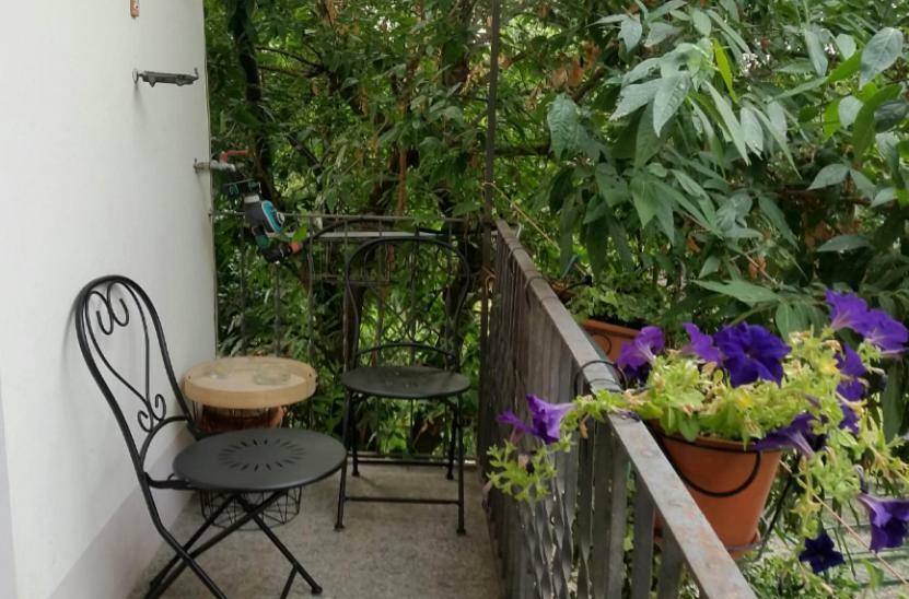 La Signora Delle Camelie Hotel Lesa Eksteriør billede